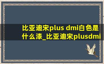 比亚迪宋plus dmi白色是什么漆_比亚迪宋plusdmi白色是金属漆吗